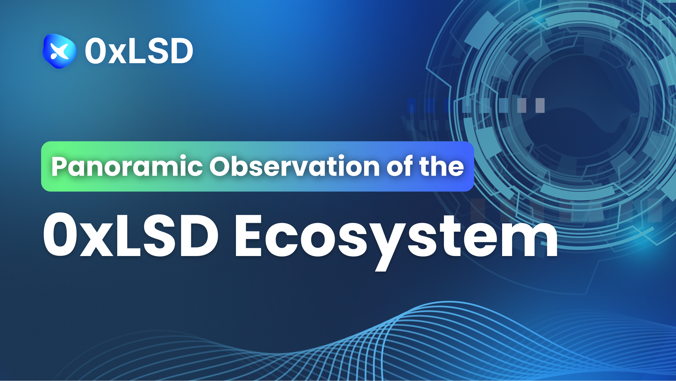 Panoramic Observation of the 0xLSD Ecosystem