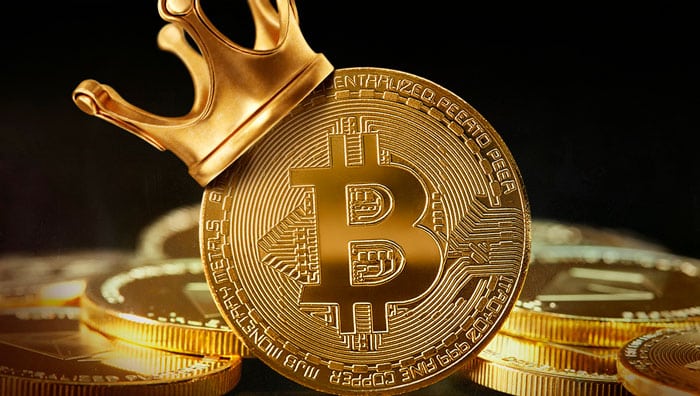 The Altcoin ETFs Gold Rush